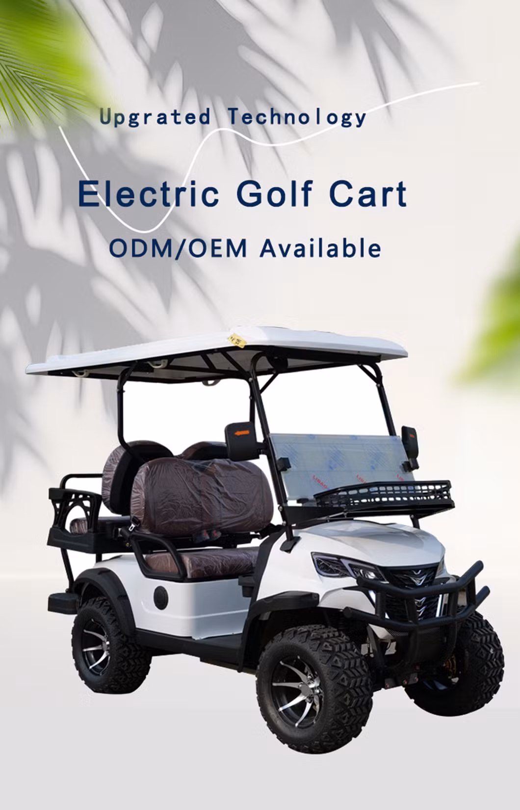High-Performance 2-Seater Electric Golf Carts with Customizable Color Options