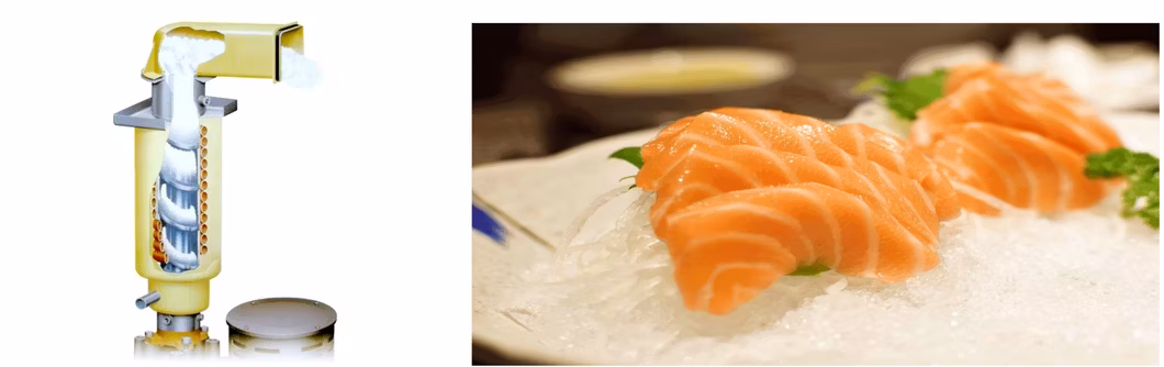 Air Cooled Granular Snowflake Ice Machine Ice Maker for Seafood Storage Industrial Food Processing