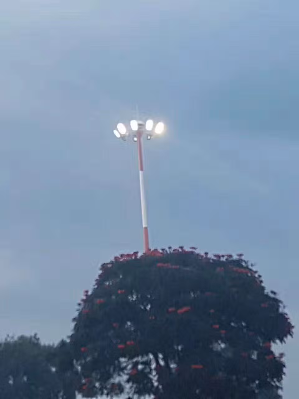 Baode Lights Ce Certified High Quality LED Flood Light High Mast Light