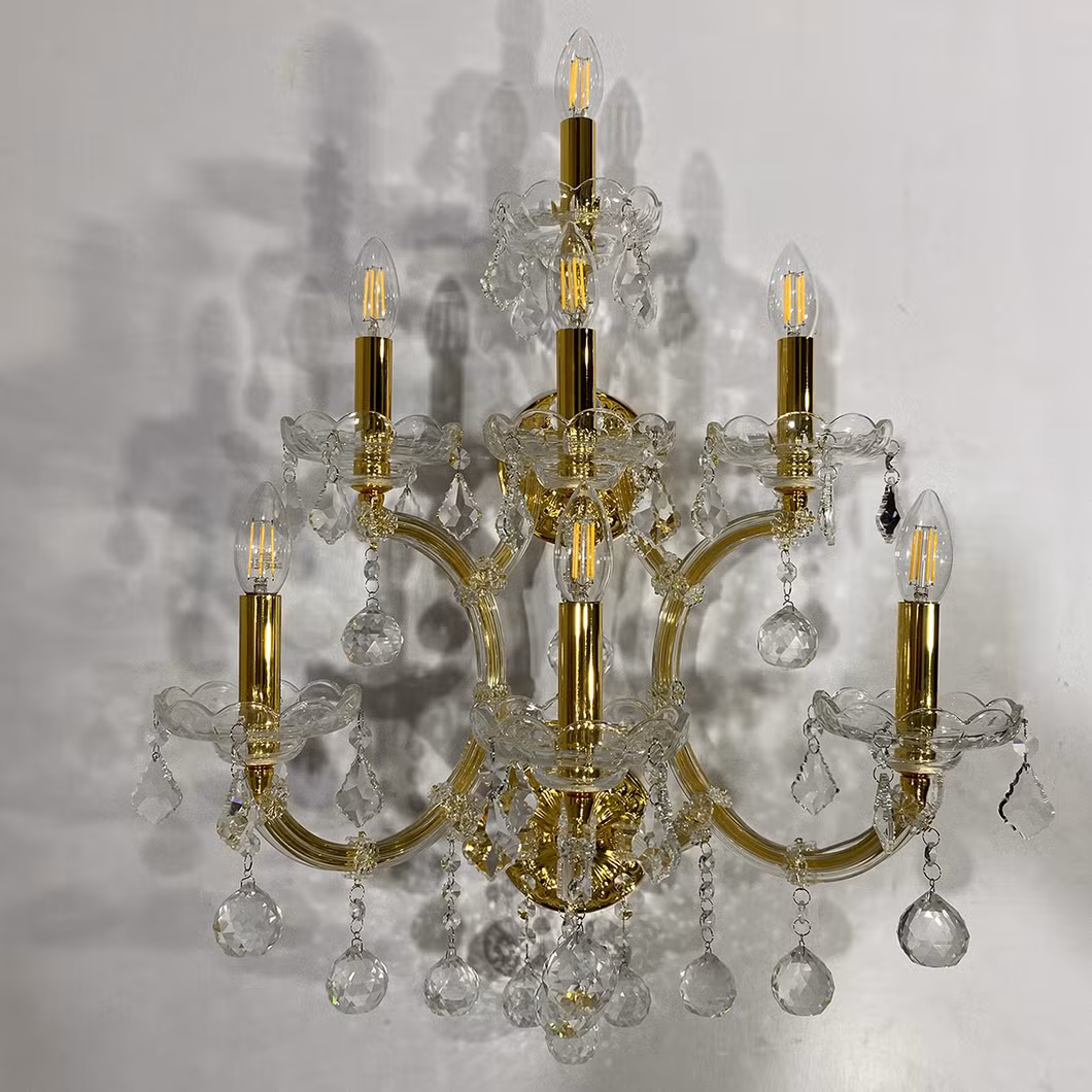 Aosiman Indoor Living Room Wall Sconce Lighting for Wall Yard Street