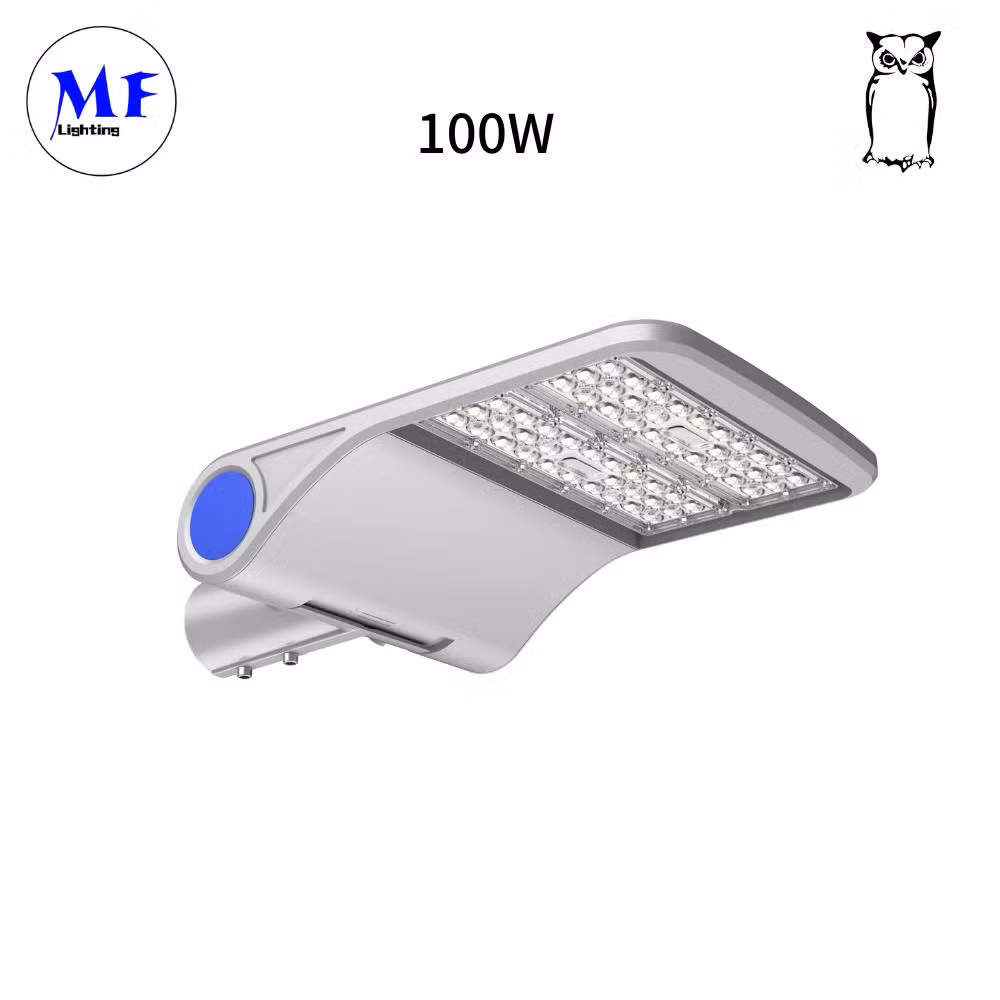 Factory Price Meanwell Driver 3000K-6500K Dali Dimming 30W/50W/60W/80W/100W/120W/150W/180W/200W/240W IP66 Waterproof LED High Mast Street Road Flood Light