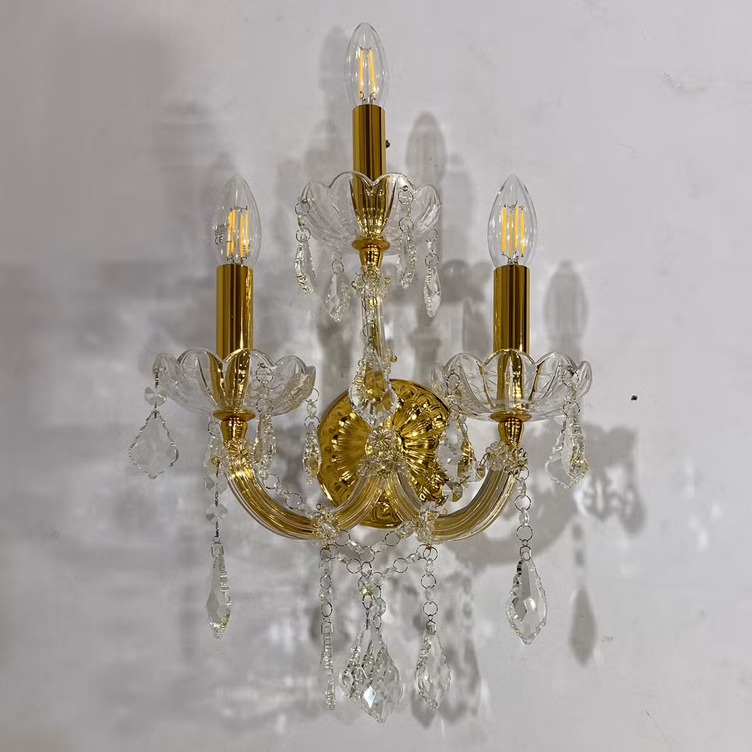 Aosiman Indoor Living Room Wall Sconce Lighting for Wall Yard Street