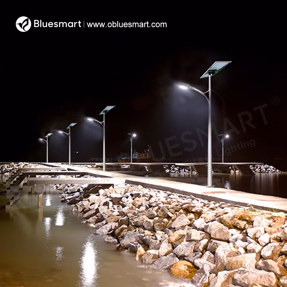 IP65 100W Outdoor LED Solar Flood Billboard Lighting LED Solar Flood Lamp Road Light LED Street Lamp