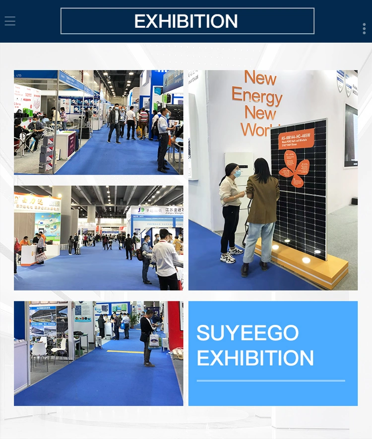 Suyeego MPPT Micro Grid Connected Inverter 700W Solar Inverters