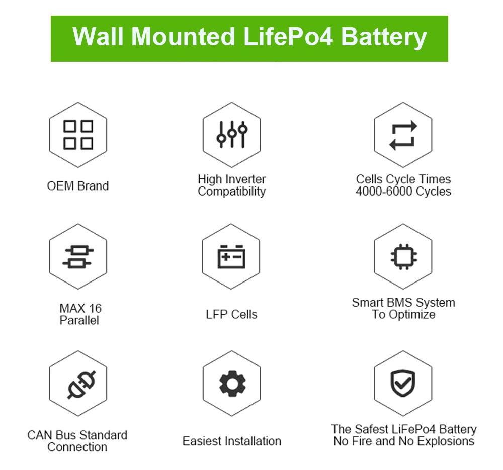 LiFePO4 Storage Wall Mount Lithium Ion Batteries for off-Grid Inverters 48V 51.2V 50ah 100ah