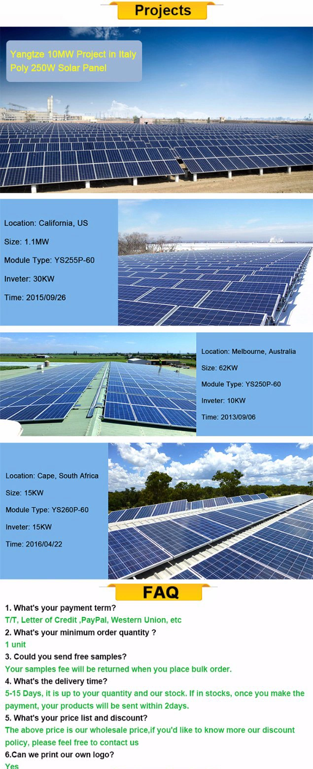 2019 Top Sale 12V 100W Solar Panel Manufacturers in China