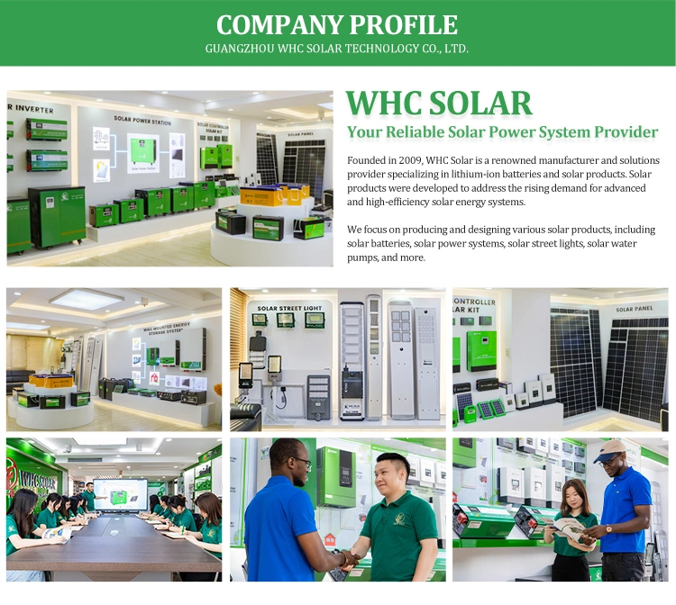 Whc MPPT Grid Connected Inverter 300W 350W 700W 2000W 2400W 2800W Solar Inverter