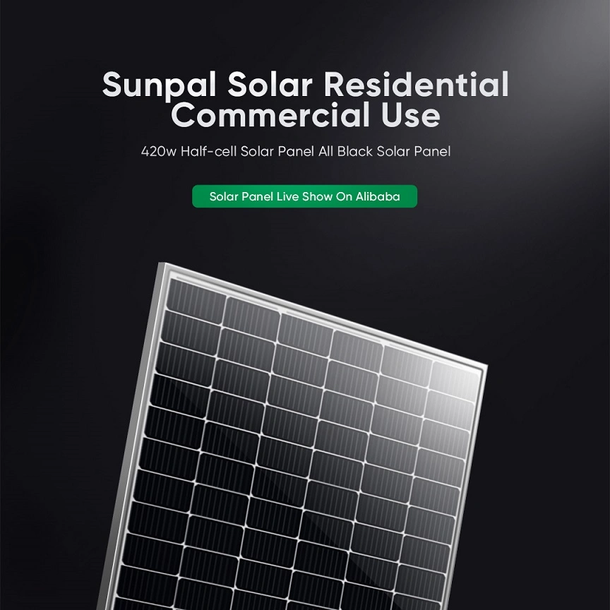 Sunpal Wholesale Small Flexible Solar Panel 12V 18V 24V 36V 42V 75W 80 100 200 Watt W For Greenhouses