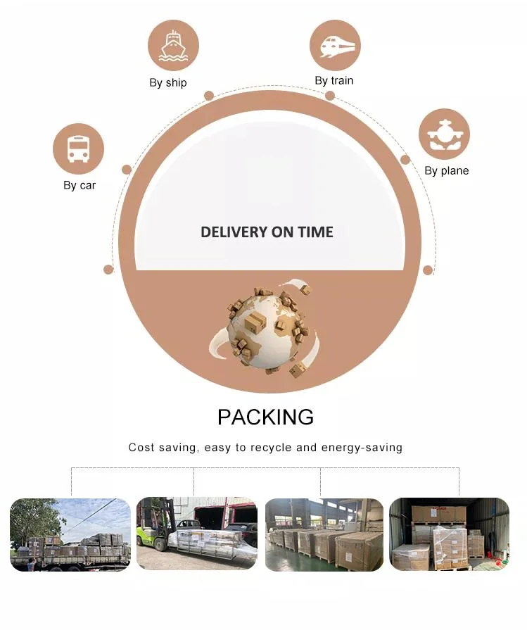 Sunlink Spi-10K-U 2 MPPT Home Energy Storage Photovoltaic Grid Tie Inverters off Grid Solar System Inverter