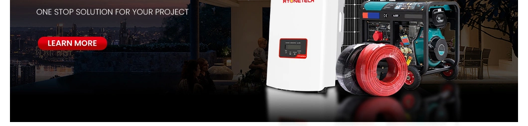 Htonetech Hybrid Solar Power Inverter 5000W Portable Power Storage Solar Panel China Suppliers 5kw 10kw 25kw 30W 40kw on Grid Solar Power System 3kw