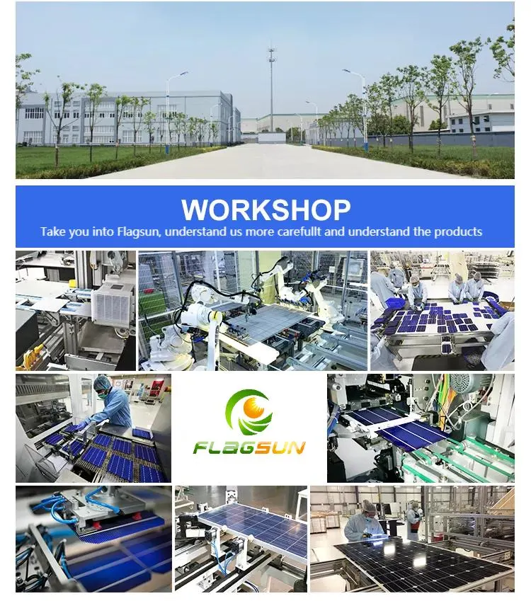 Flagsun 100kw Solar Energy Station Plant Photovoltaic PV Panel for Solar Home Power System