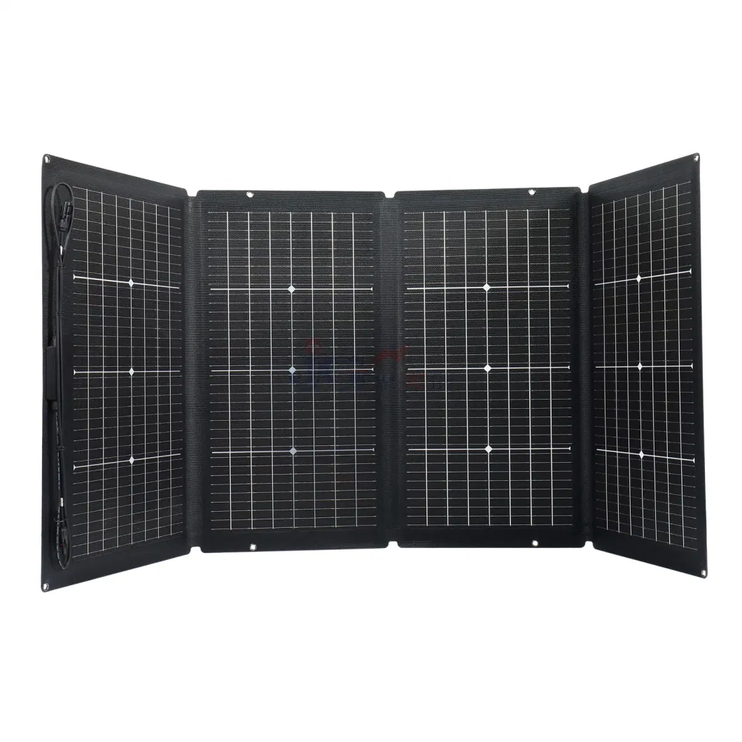 Customized Portable Bifacial Solar Panel 220W