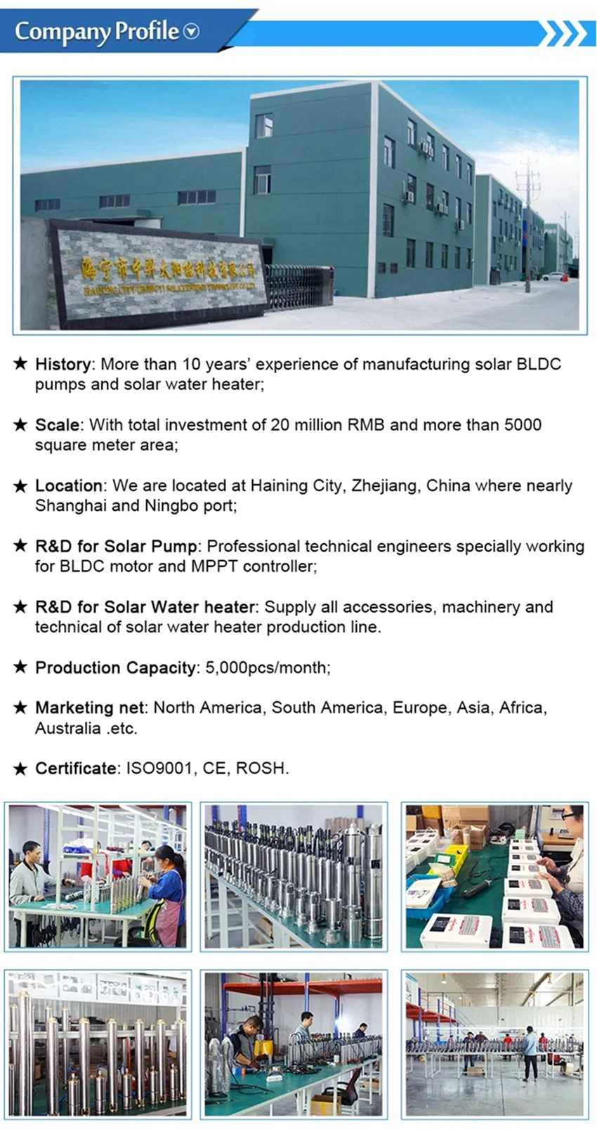 300W Poly High Quality with Brand Solar Module Panel