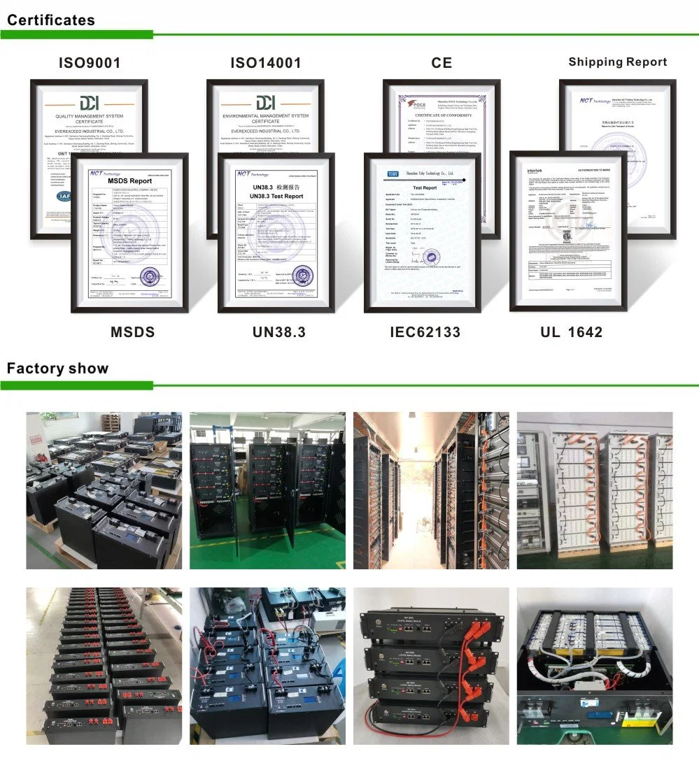 IEC and CE Approved Rechargeable LiFePO4 Lithium Ion 48V 100ah Solar Battery for Solar Energy Systems