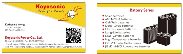 Koyosonic 200ah Solar Battery Gel Battery for Inverter 200ah 12V Li Ion Battery CE EMC IEC MSDS