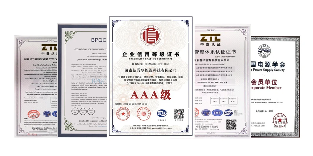 Micro Solar Inverter off Grid Inverter Low Frequency Pure Sine Wave Inverter