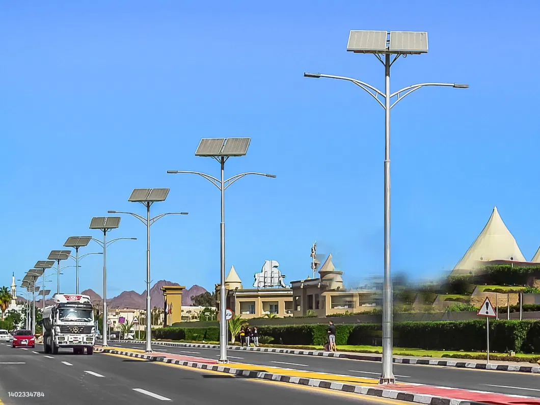 Double LED Solar Street Lamp with Higher Efficiency Solar Panel