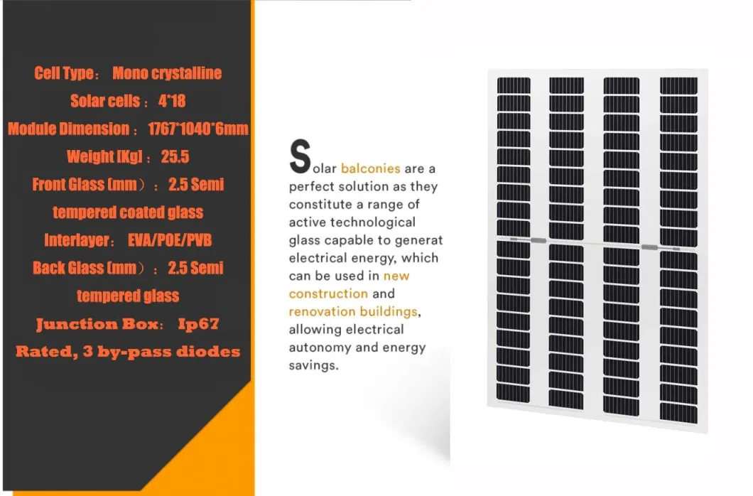 Raytech Double Glass PV Modules Transparent Solar Panel 215W 220W 360W 40%