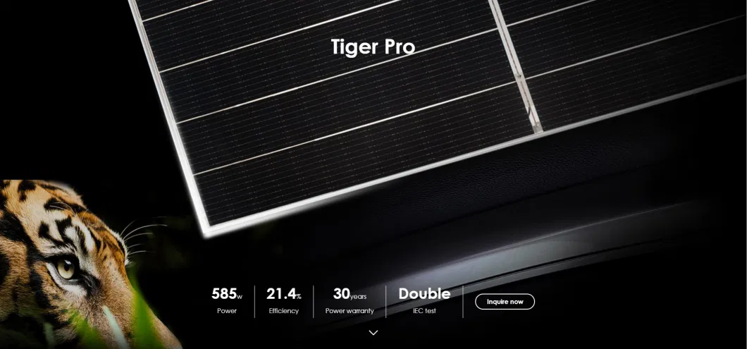 Jinko Tiger PRO 72 Hc Bifacial Wholesale Poly PV Fold Flexible Black Monocrystalline Polycrystalline Photovoltaic Module Mono Solar Energy Power Cell Panel