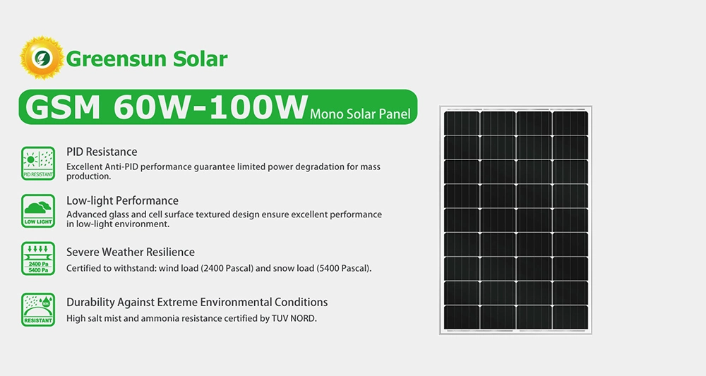 Greensun Small 100W 200W Mono Solar Panel for System