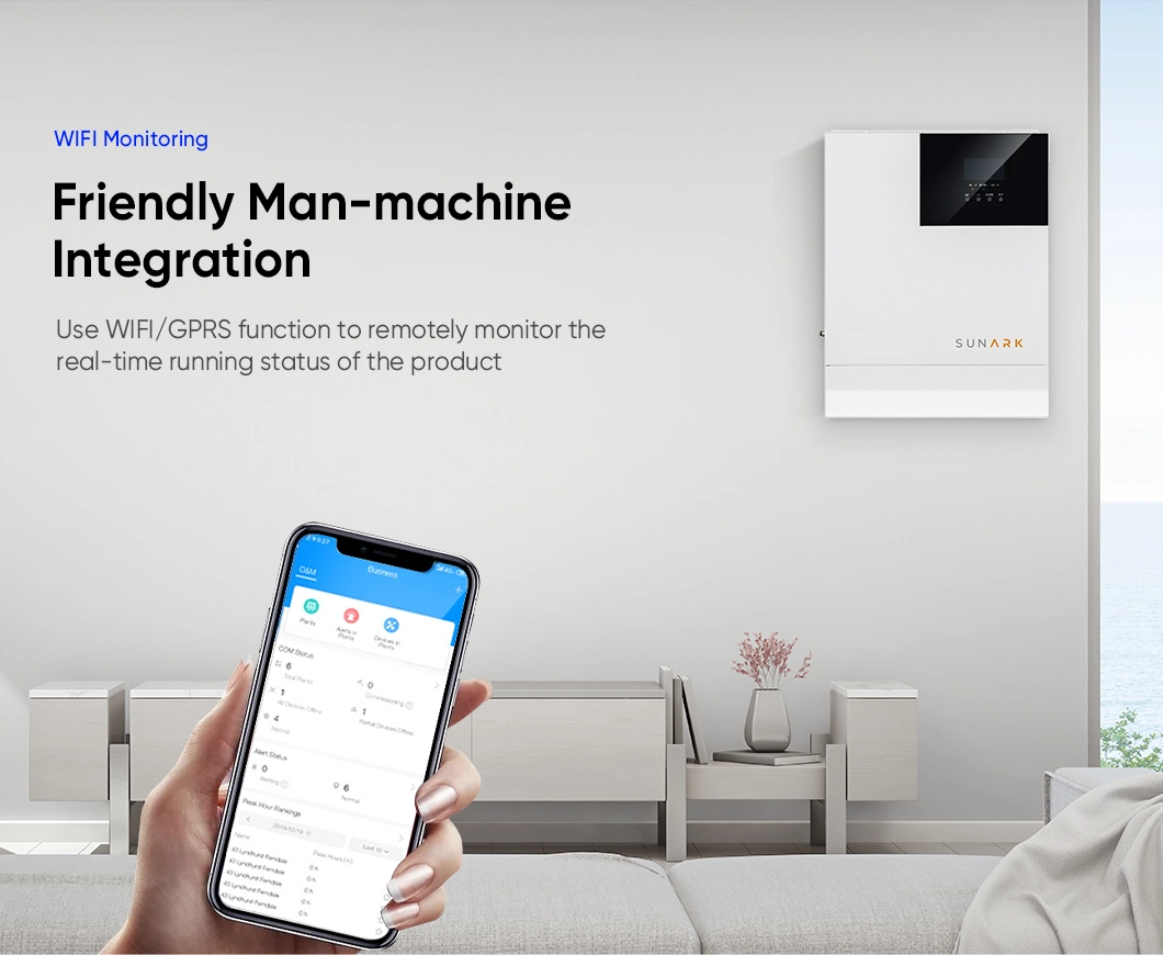 Top 10 Solar Battery Less off Grid Solar Inverter Pure Sine Wave Inverter 3kw