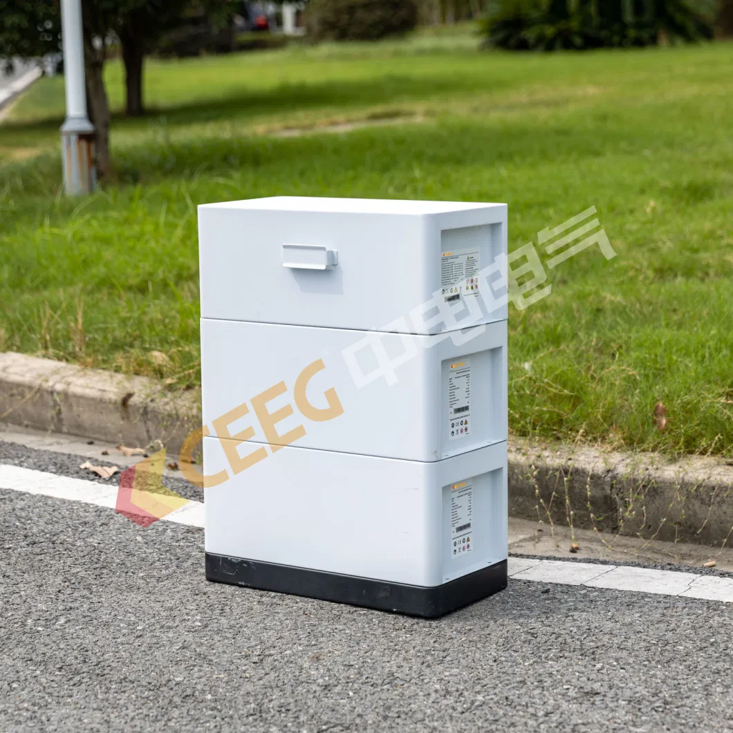 Ceeg Lithium Battery Inverter Energy Storage Machine 3.6kw with 5kwh Rechargeable Battery