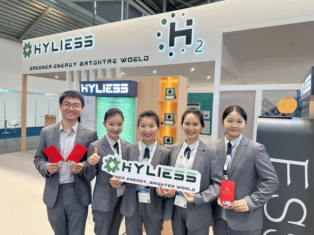 Hyliess Three Phase High Quality Hybrid Inverter on/off Grid 40kw 50 Kw 60kw Solar Panel Solar Power System with Lithium Battery