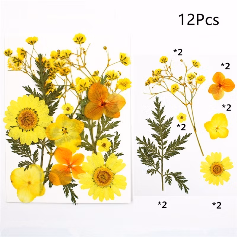 Fashionable Multicolor DIY Dried Plant Flowers Crafts Art Floral Party Supplies Home Decoration