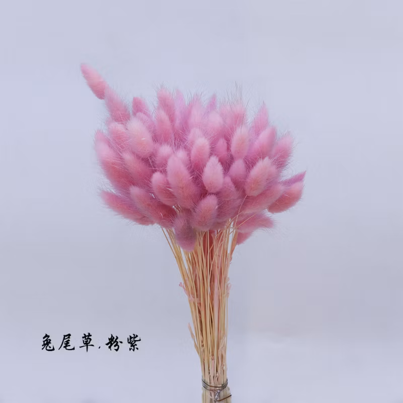 60PCS Natual Color Lagurus Ovatus Rabbit Tail Home &amp; Wedding Decoration Floral Arrangements