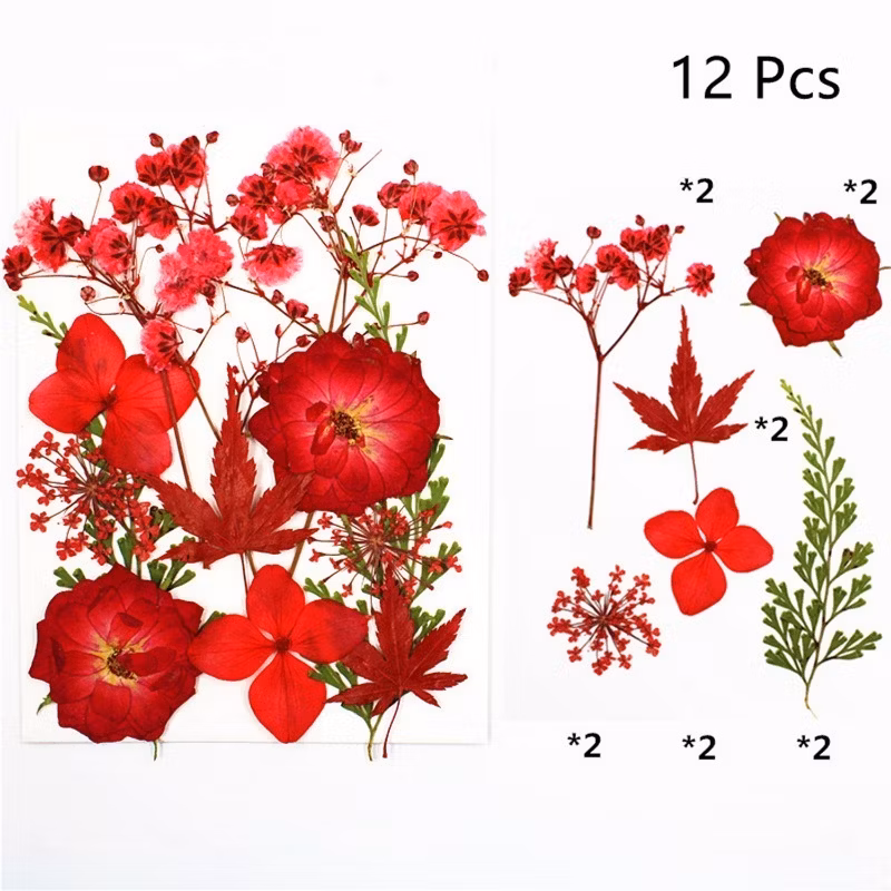 Fashionable Multicolor DIY Dried Plant Flowers Crafts Art Floral Party Supplies Home Decoration