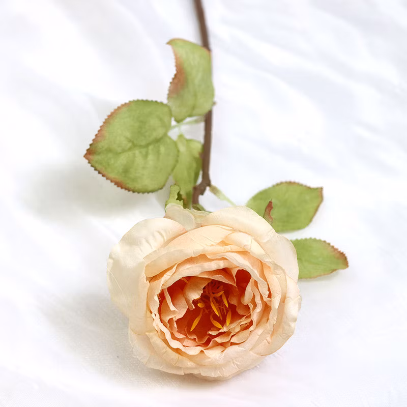 Simulation Rose with Burnt Edge Rose