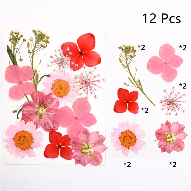 Fashionable Multicolor DIY Dried Plant Flowers Crafts Art Floral Party Supplies Home Decoration