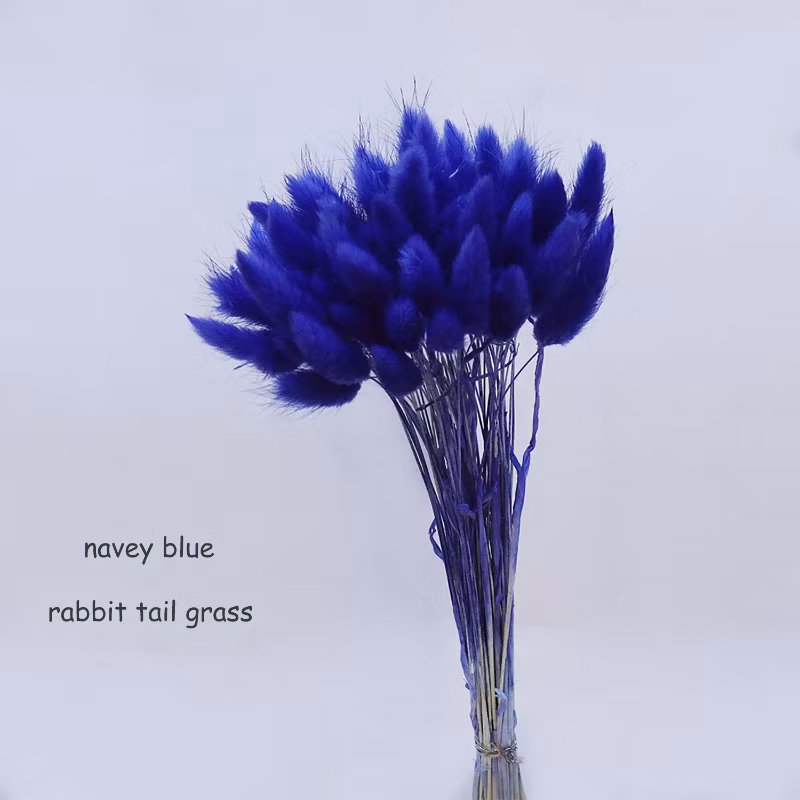60PCS Natual Color Lagurus Ovatus Rabbit Tail Home &amp; Wedding Decoration Floral Arrangements