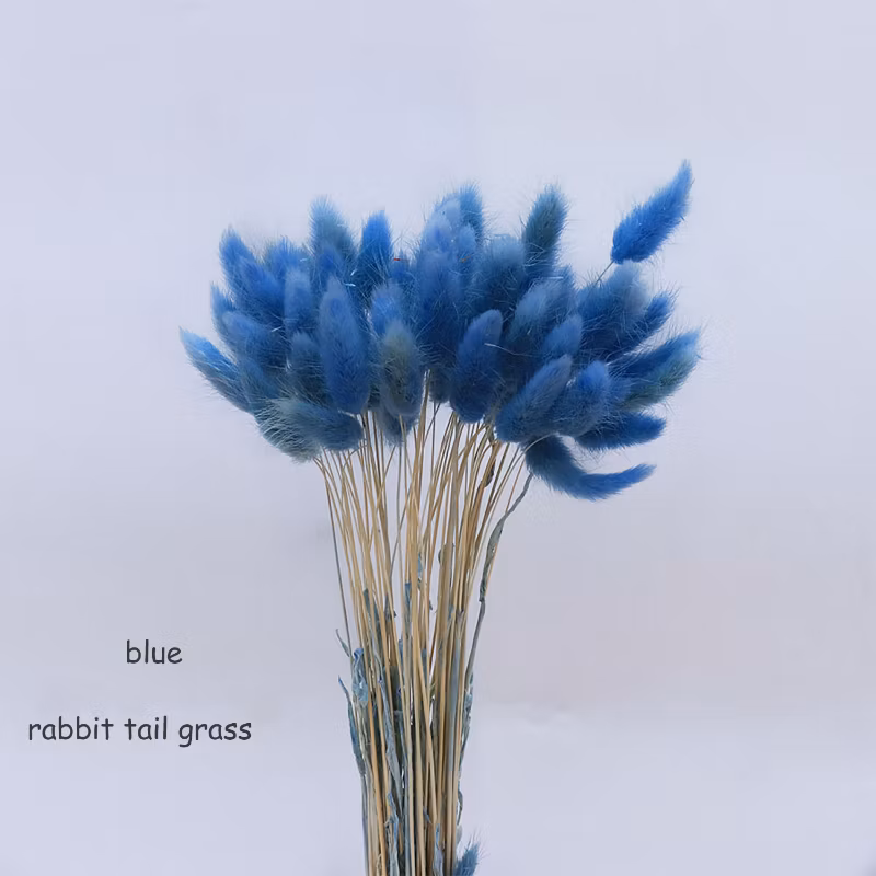 60PCS Natual Color Lagurus Ovatus Rabbit Tail Home &amp; Wedding Decoration Floral Arrangements