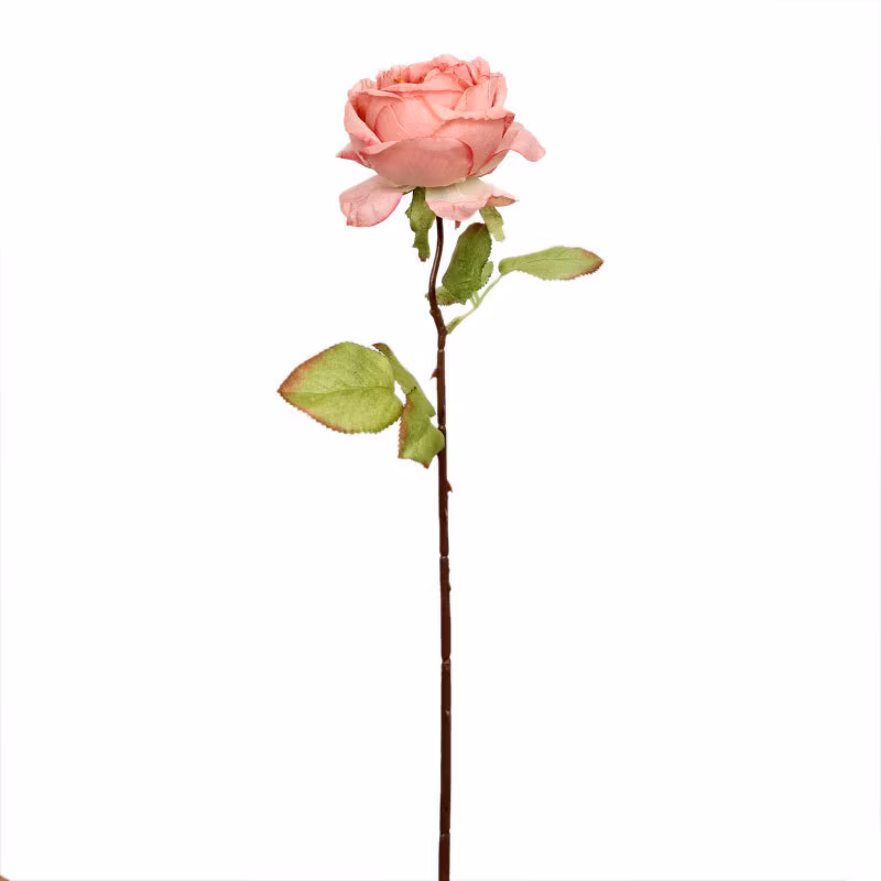 Simulation Rose with Burnt Edge Rose