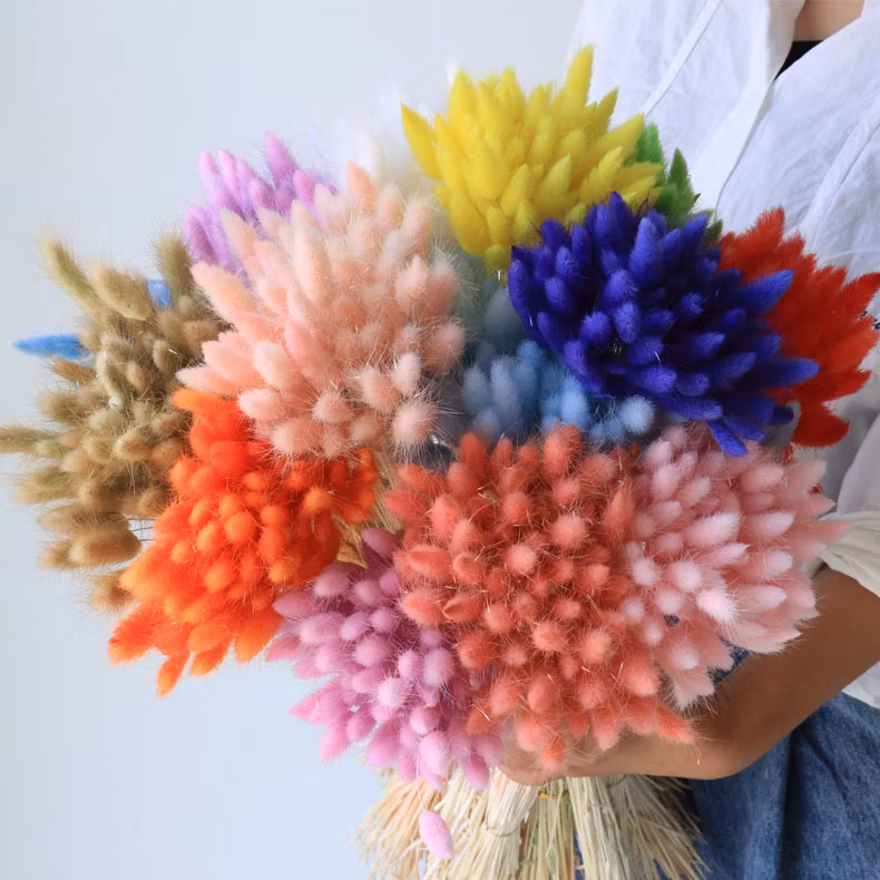 60PCS Natual Color Lagurus Ovatus Rabbit Tail Home &amp; Wedding Decoration Floral Arrangements