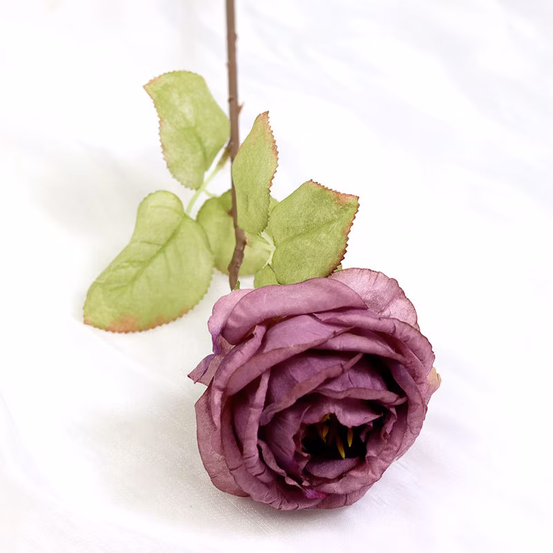 Simulation Rose with Burnt Edge Rose