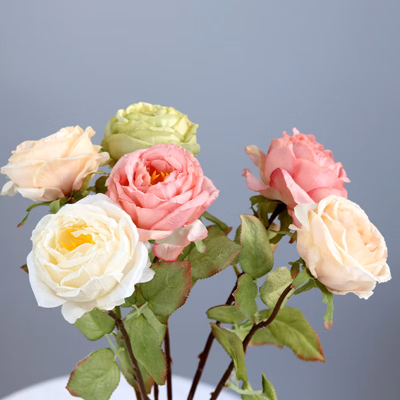 Simulation Rose with Burnt Edge Rose