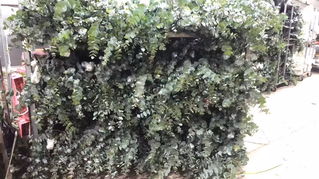 Pink Rose Real Fresh Cut Flowers China Wholesale Yunnan Base Direct Sale Natural Rose for Valentine&prime; S Day Wedding Bouquet Wholesale Florist