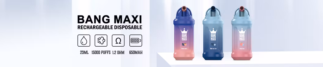 OEM ODM Disposable Lost Juice Aivono Bangmaxi 15000 Puffs Bar E Liquid Type-C Rechargeable E-Lux Pod Wape Vapor Empty Wholesale I Vape Pen E Hookah Charger