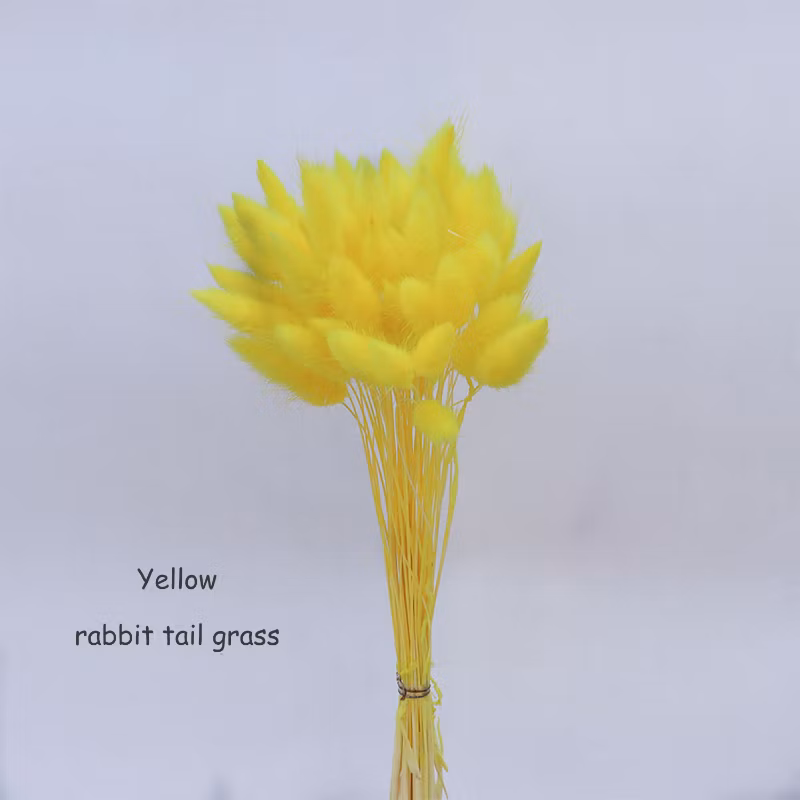 60PCS Natual Color Lagurus Ovatus Rabbit Tail Home &amp; Wedding Decoration Floral Arrangements