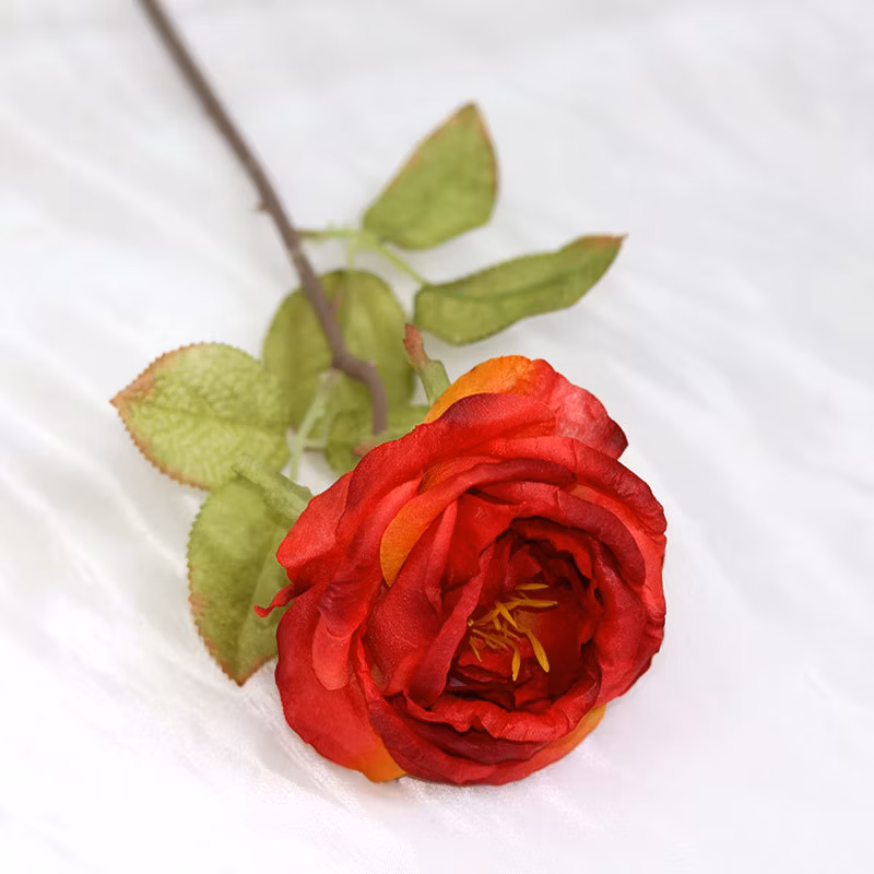 Simulation Rose with Burnt Edge Rose