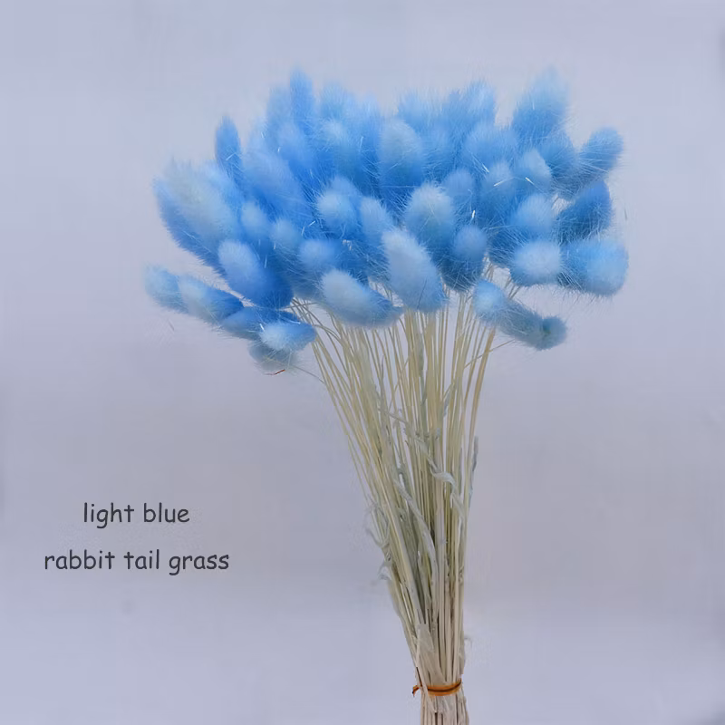 60PCS Natual Color Lagurus Ovatus Rabbit Tail Home &amp; Wedding Decoration Floral Arrangements
