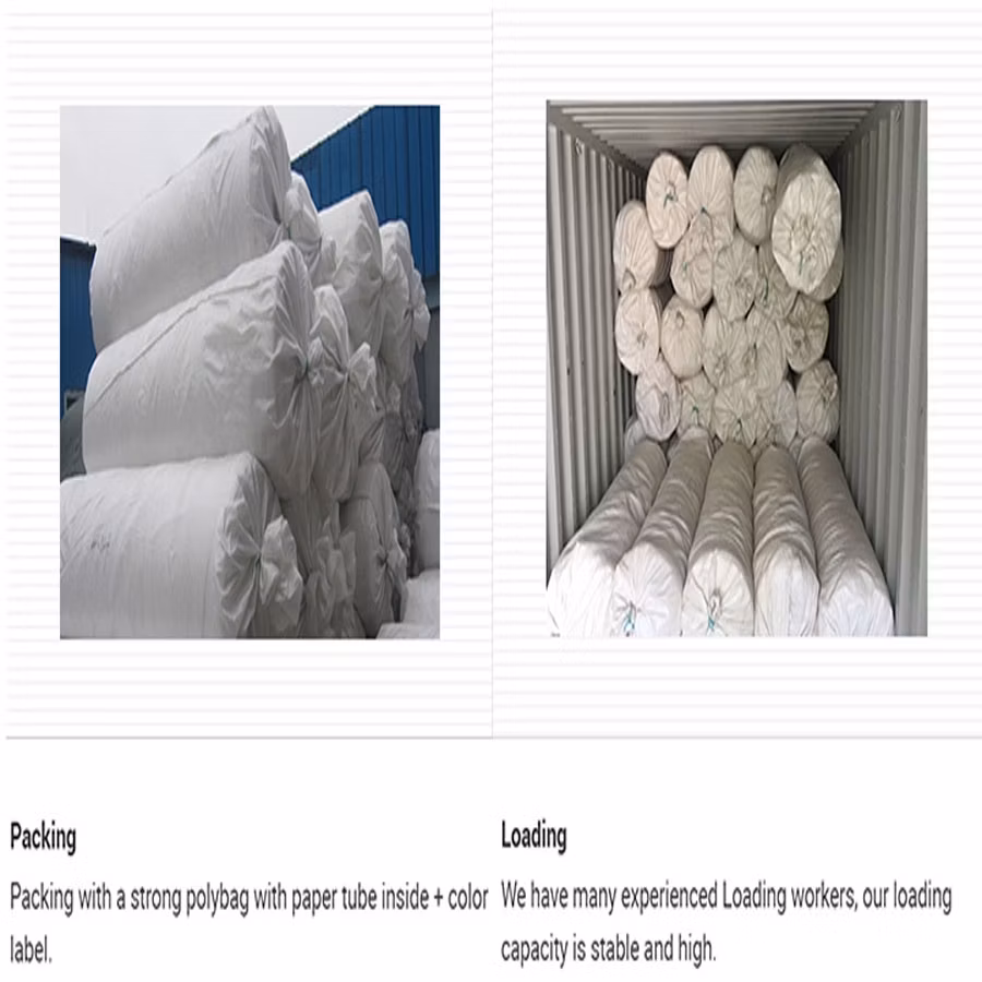 White High Quality PE Agriculture Flower Vegetable Vine Proof Netting Anti UV Insect Bee Screen Net
