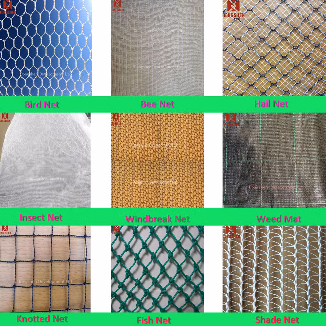 White High Quality PE Agriculture Flower Vegetable Vine Proof Netting Anti UV Insect Bee Screen Net