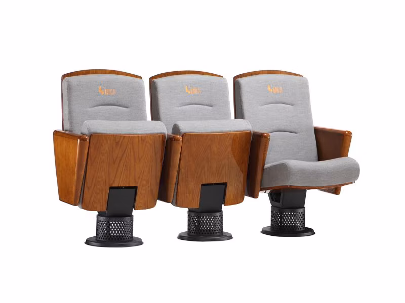 Lecture Hall Stadium Media Room Economic Audience Theater Auditorium Church Seating