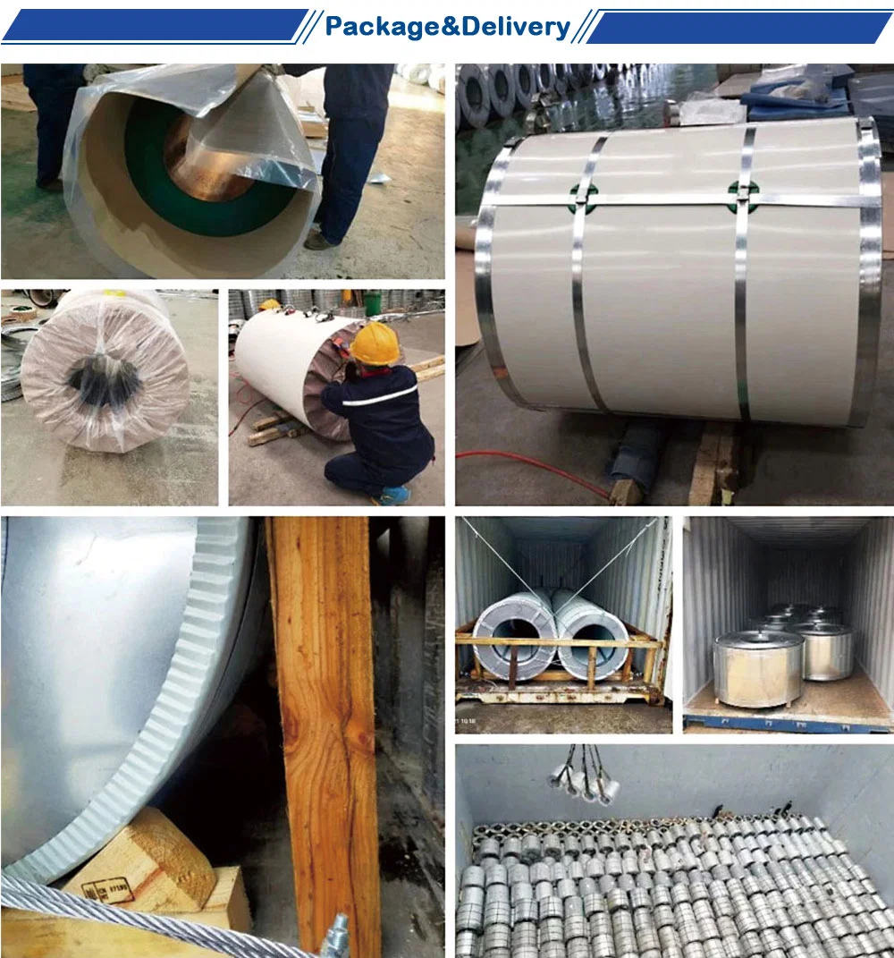 Customized Size 201 304 304L 316 316L Hot Rolled Stainless Steel Sheet in Coil