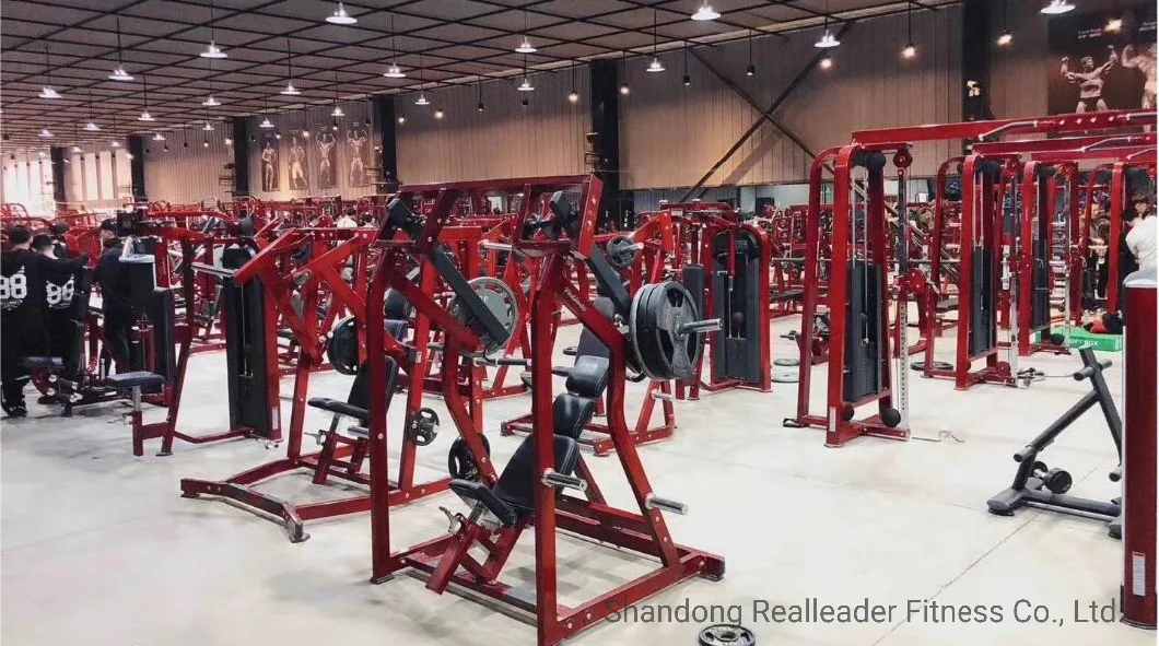 Realleader Gym Equipments Wholesale Equipment Fitness Machine Pendulum Squat with Factory Price Ld-2006