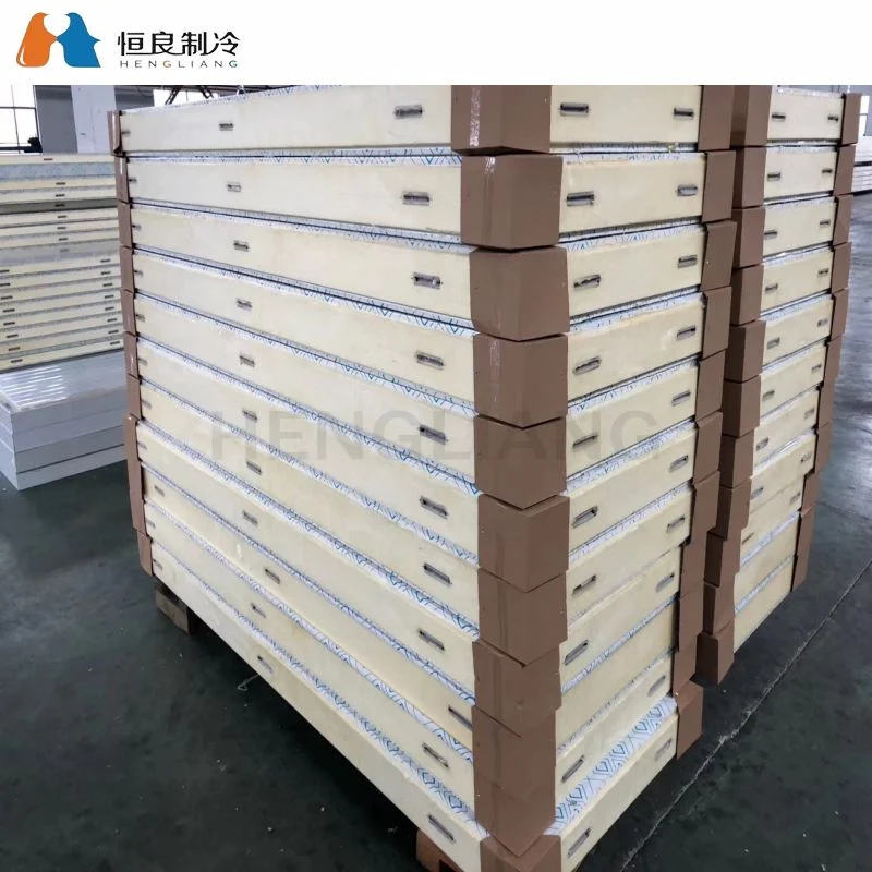 Hengliang Cooling Best Price Used Commercial Food Storage Cold Storage Freezing Chamber Fresh Keeping Single Sliding Door Competitive Price Cn; Gun