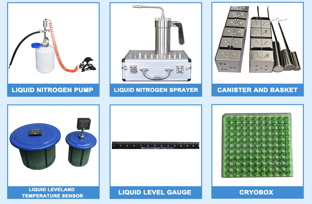 China Yds 15 Liquid Nitrogen Tank Animal Frozen Semen Storage